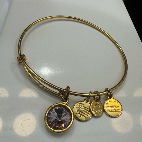 🆕 Alex and Ani June Light Amethyst Birthstone Charm Bangle Bracelet - Picture 3 of 5
